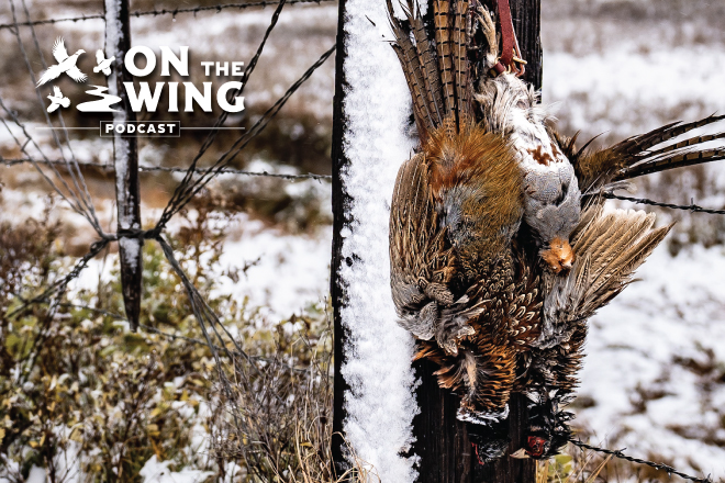 64c21f4e-f263-4930-9898-b73f4d1aa1bd