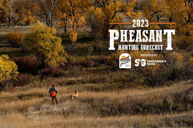 2023 Pheasant Hunting Forecast