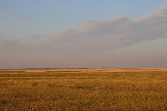 667413fb-ad2e-4afa-a24a-9bfe2ecd56b1