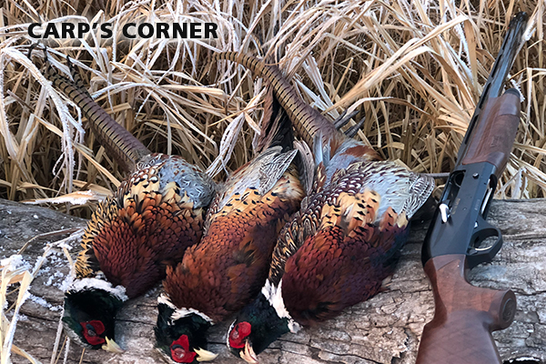 6769f154-dfcf-4efb-86a9-d047ec108286