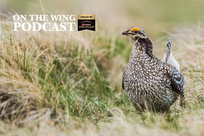 67ee3b9e-9e88-451f-9f7f-75c484fdf197