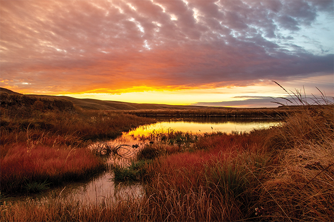 697ec5e3-c2e3-4d72-b719-9eadad312abe