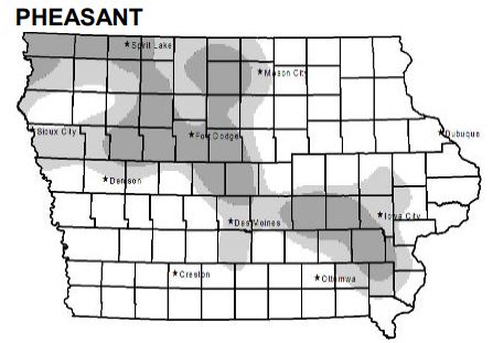 pheasant iowa population hunting forecast counts highest northwest state had