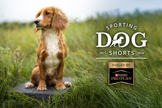 6a1ea01b-9038-4f5c-ba42-d4bd3451b7de