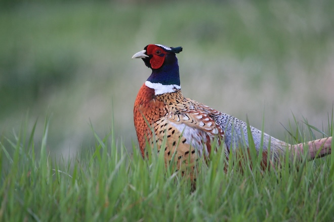 6ddf00e2-3e7b-48b2-8649-ace05c8518a6