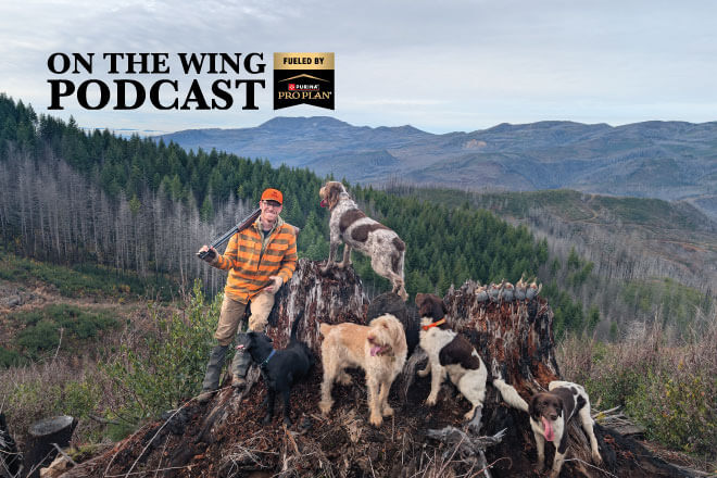 72a05eb2-06a7-40d0-b83e-a562ef37360a