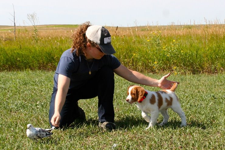 can you train a year old dog to hunt