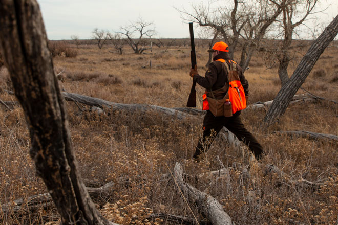 From the 2019 Rooster Road Trip The Browning Line of Pheasants