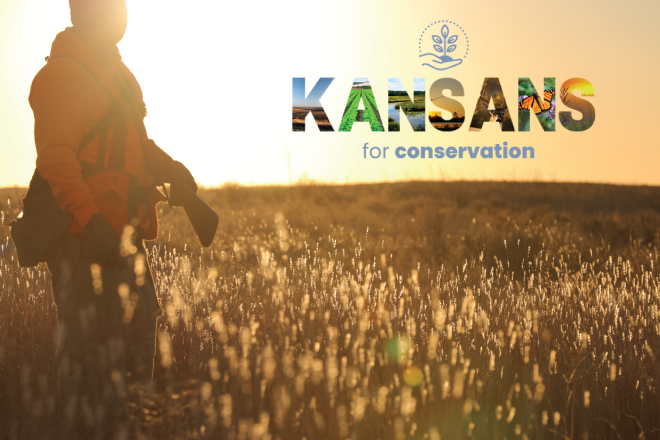 74f864b6-c6f7-41dd-a32e-aaa631a1cbda