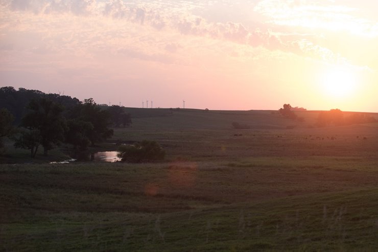 77eb2eba-503d-4d28-bce5-5ac078df0b2f