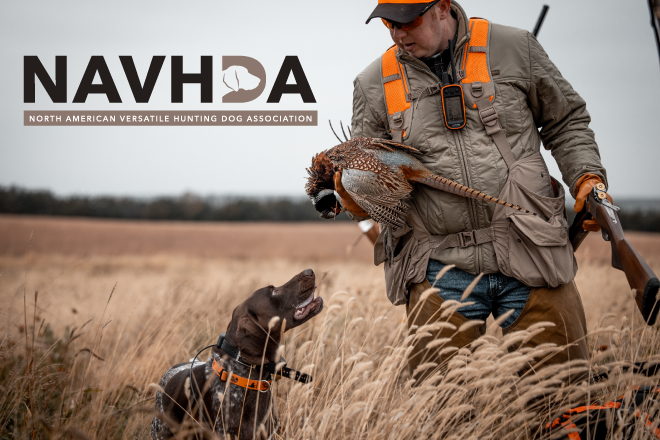 7d1d06ba-8055-4aec-ab54-b6b435a3cdbf