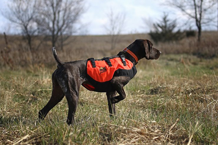 Upland hunting best sale dog vest