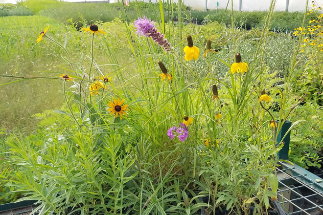 82e20524-a062-4532-be4a-b2ddfc726867