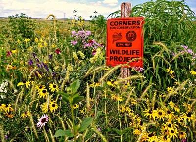 II. The Importance of Wildlife Conservation in Colorado
