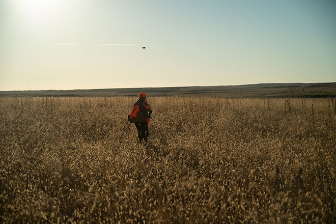 86a8c0d2-3090-446f-a771-8c049e794212