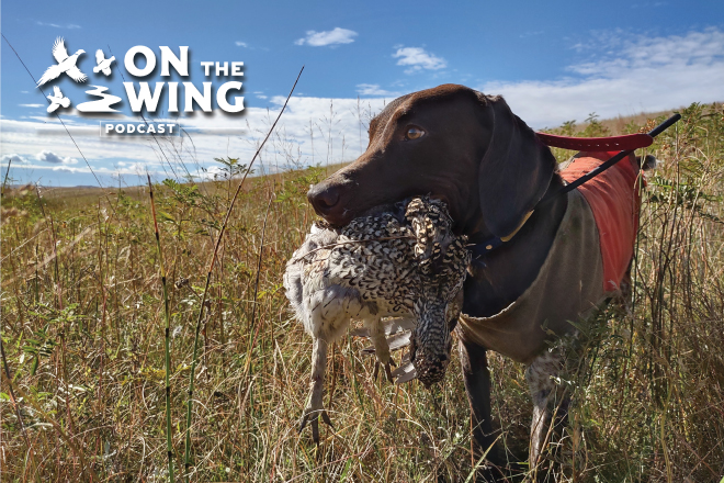 896d02ec-eaa4-42f1-b117-6e2e0646bbea