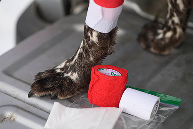 8d7405d5-57bf-4d90-bdf8-2a4625433a99