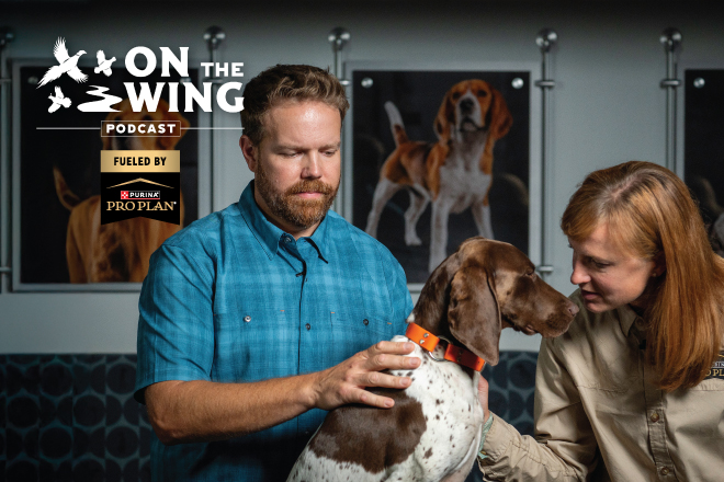 8f16992d-3850-4ab8-823e-657de5694680