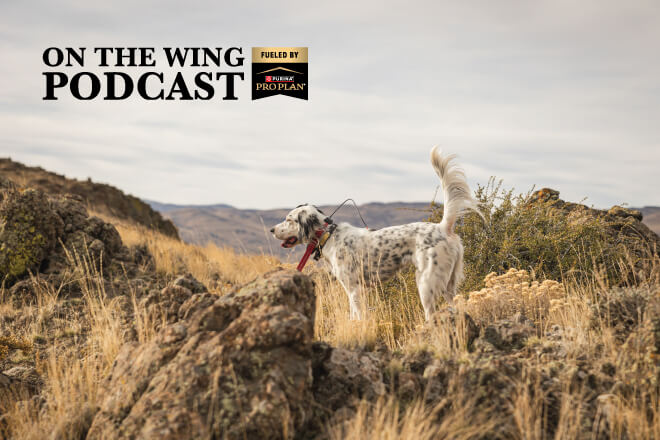 919356a6-7658-4cfb-b748-444aec0a3d82