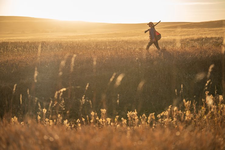 95e0b4d8-ada2-4ecf-8a63-049492b2764f