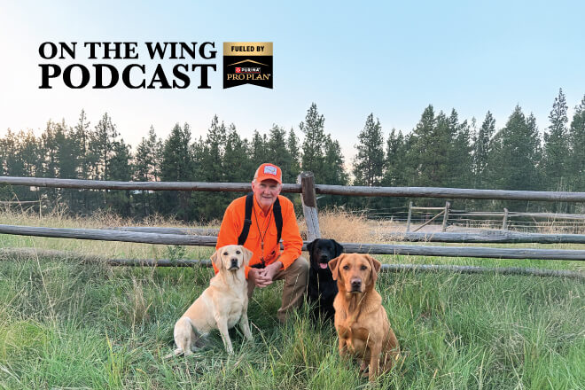 9715096e-4b77-47ab-8088-9c9c159073d9