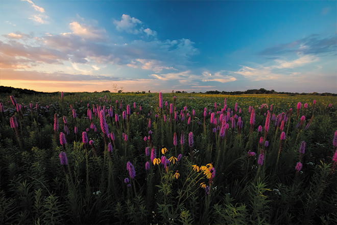 98590a0c-1988-4c92-ba4f-e21ed82c7ff3