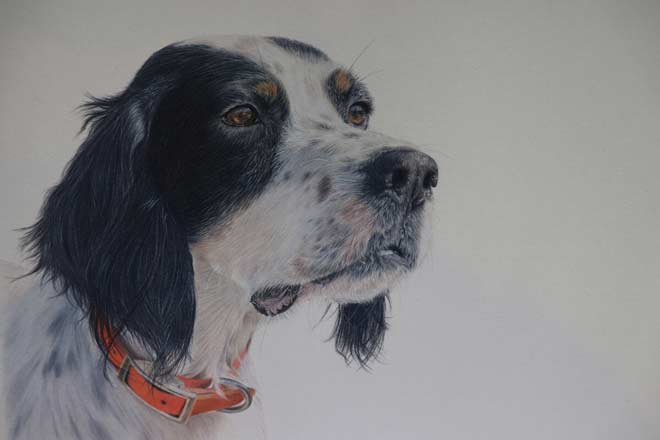 9d84ef7e-bff9-4463-b3b3-2805d2da9ead