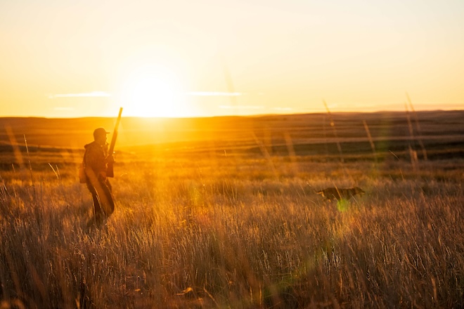 9dc63d4f-fe13-4d32-886e-386af864ed4f