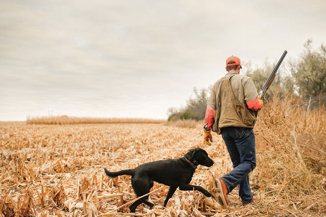 Best boots 2025 for pheasant hunting