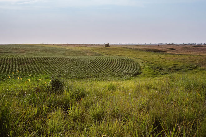 a1478c3b-ad35-4d3f-aa5d-ccd0ca33005d