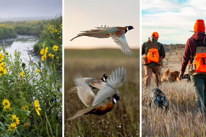 Women on the Wing Event to Highlight Pheasant Fest