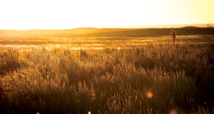 a2cdf632-3d2f-4037-b66a-449f93a27aef