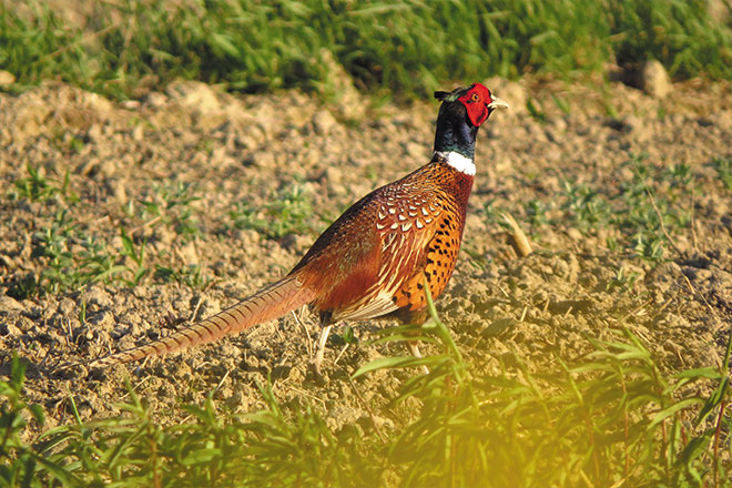 a40f2dd1-0dcc-4584-b62f-d2a2ef365281