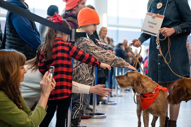 DogParade_1.jpg