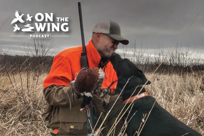 a6c2598c-61d2-45a6-8a03-ceda1119c70c