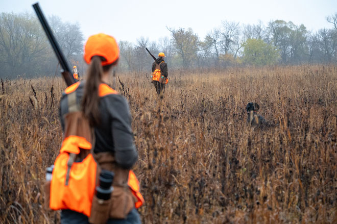 Duck Blinds on a Budget - Waterfowl Hunting - Project Upland