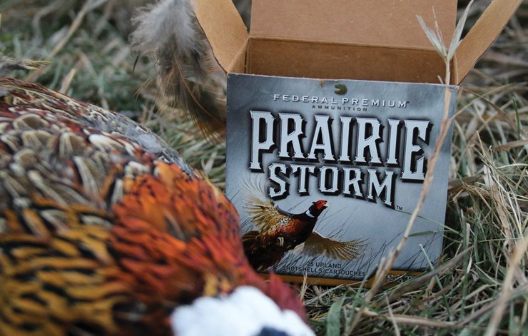 It's easy to assume faster must be better for shooting pheasants. And speed  does kill. But there are tradeoffs to boosting pellet velocity.