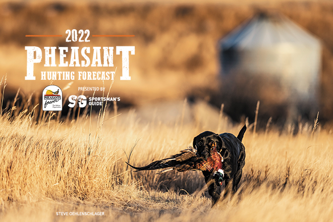 2022 Pheasant Hunting Forecast