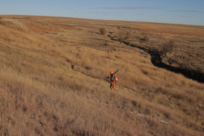 ad8f0cee-c804-4015-805e-1bb522f324c5