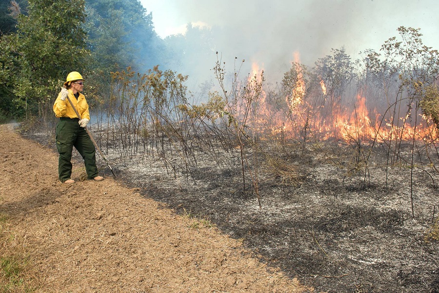 Elsa Gallagher, Missouri state coordinator, helping conduct a prescribed burn