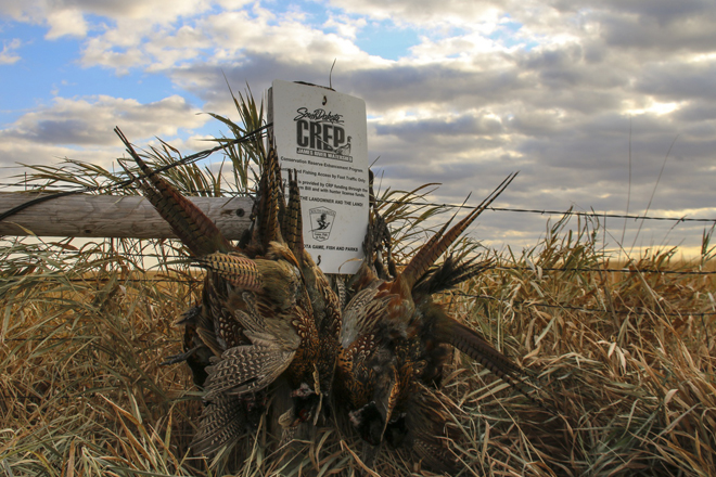 af6e6ba2-59f6-4185-89b7-237ca370da14