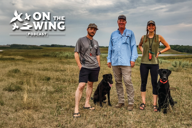 Podcast Ep. 225: Thinking Like Your Bird Dog with Pro Trainer Tim