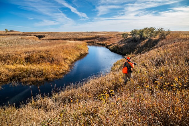 b94c6361-5951-4430-bc72-ff2b232ecdbd