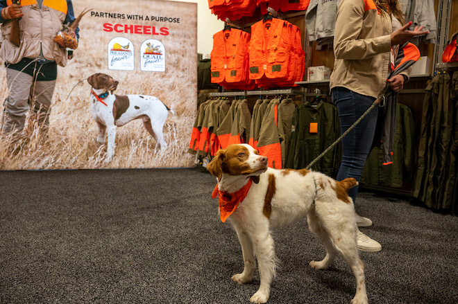 An Increase Of 46 Percent Over The 2020 Show Makes This Is The Largest national-pheasant-fest-quail-classic-2023-is-coming-to-minneapolis
