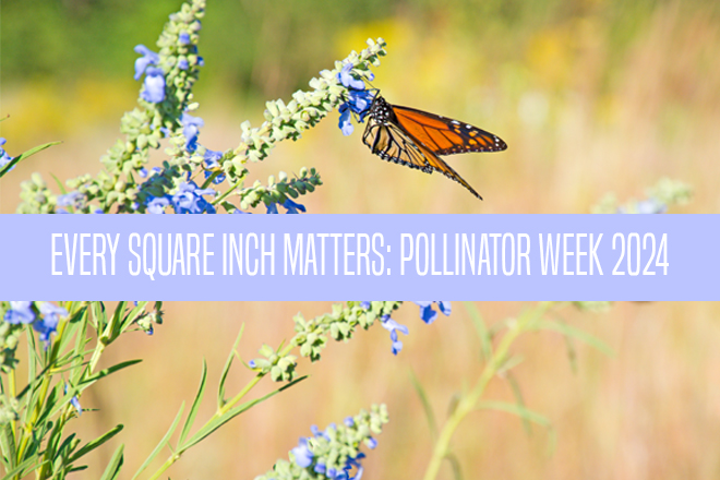 be06e447-daf5-4d4e-ae8d-134ef9ca74e9