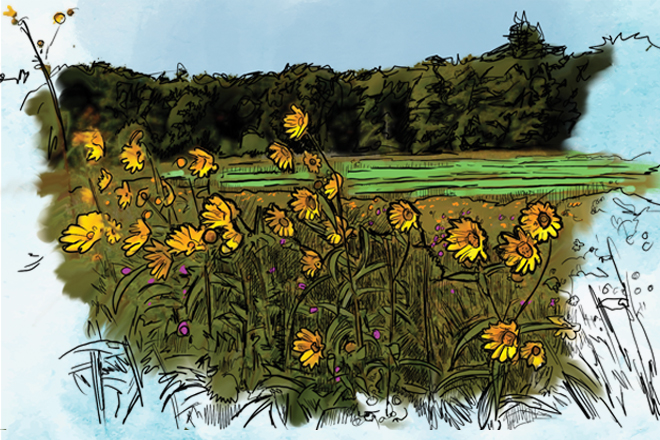 beb79cf0-f3a3-4e0a-9b9d-aed1cf01853c