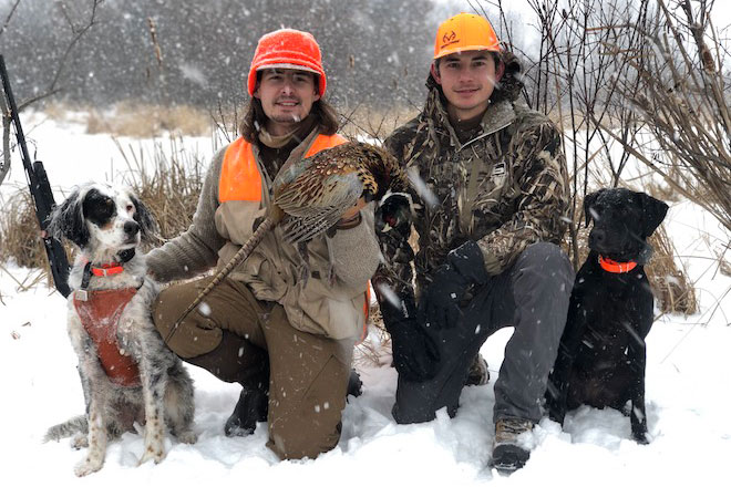 English setter duck store hunting