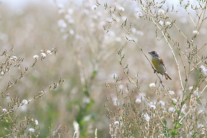 c8175c64-7275-4a78-a92a-92bfa42ef074