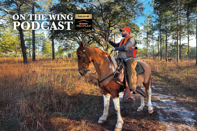 ccf32bad-5126-4836-a028-ed4e4a4a25d2