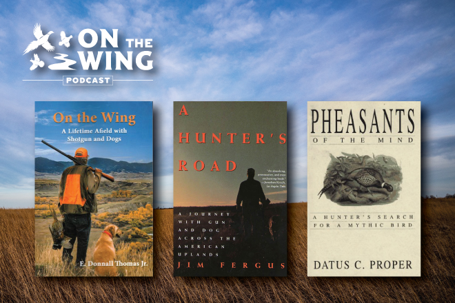 d13e99ab-c2e6-4cb4-964a-2ab0e79e631f